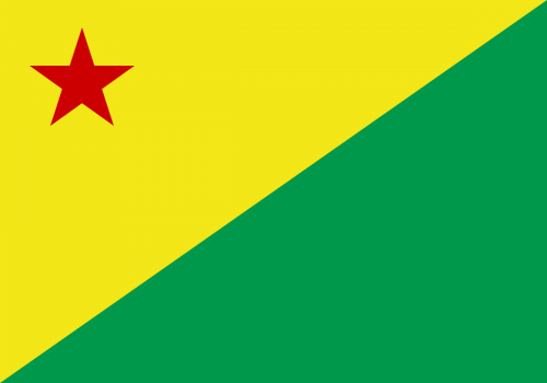 Bandeira do Estado do Acre 2 pano - 3593