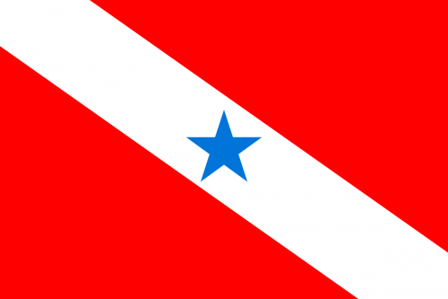Bandeira do Pará 3 panos - 3606