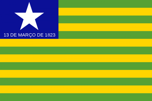 Bandeira do Estado do Piauí 2 panos - 3610