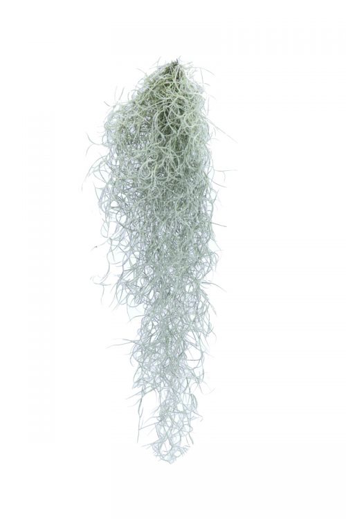 30812